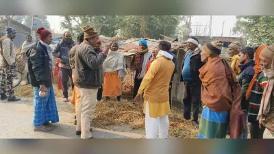बुधामा बसनबाड़ा मुसहरी से 24 घंटा में नौ मवेशी की चोरी