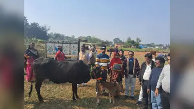 पशु मेला में दुधारू गाय व बकरी का किया गया वितरण