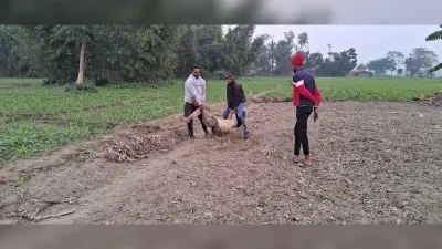 संदेहास्पद स्थिति में खेत में मिला युवक का शव, इलाके में सनसनी
