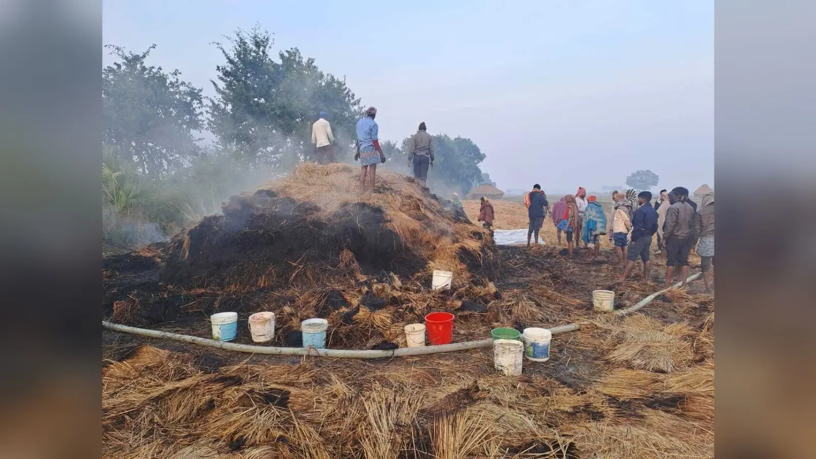 धान के पुंज में लगी आग, छह बीघा की फसल जली