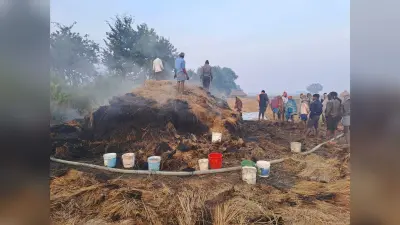 धान के पुंज में लगी आग, छह बीघा की फसल जली