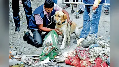 गोल्फग्रीन : कचरे के ढेर में मिला महिला का कटा सिर