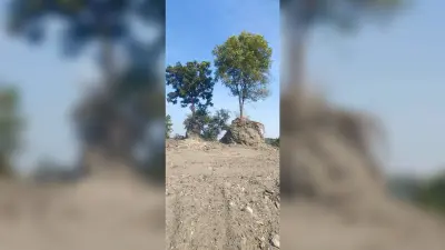 पेड़-पौधे उजाड़कर पर्यावरण संरक्षण के नाम पर बना रहे पार्क