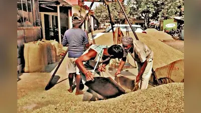 Deoghar News : आज से शुरू होगी धान की खरीदारी, बनाये गये 31 केंद्र : डीसी