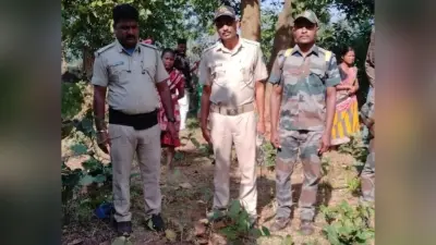 Rourkela News: बणई में हाथी ने युवक को कुचलकर मार डाला, ग्रामीण भयभीत