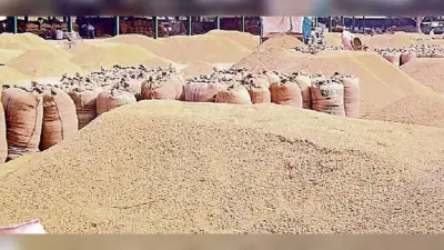 Jamshedpur News : 44 में सिर्फ दो लैंपस एक्टिव, दो दिन में 10 किसानों से 590.24 क्विंटल धान की खरीद