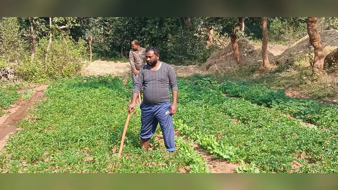 फुर्सत मिलते ही खेती-किसानी में जुटे विधायक