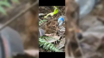 Dhanbad news: सियार के काटने से जख्मी युवक की इलाज के दौरान मौत