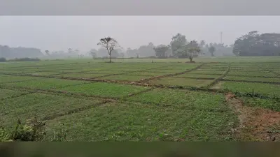 प्रभात पड़ताल. खाद की कालाबाजारी व मुनाफाखोरी से किसानों परेशान, कृषि विभाग की कार्रवाई नहीं है प्रभावी