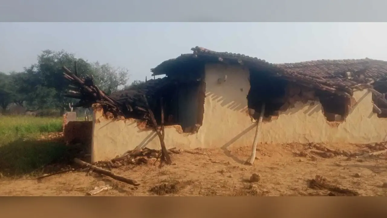मड़मा जंगल पहुंचा जंगली हाथियों का झुंड, ग्रामीणों में दहशत