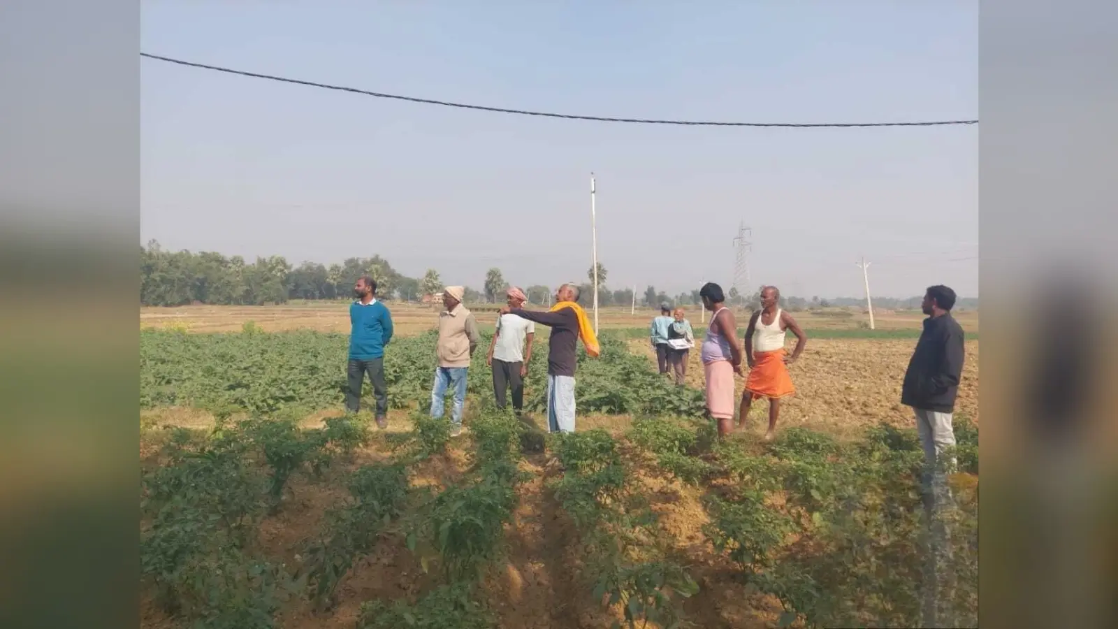 वैज्ञानिक व प्रसार कर्मी ने खेतों में फसल रोग उपचार की दी जानकारी
