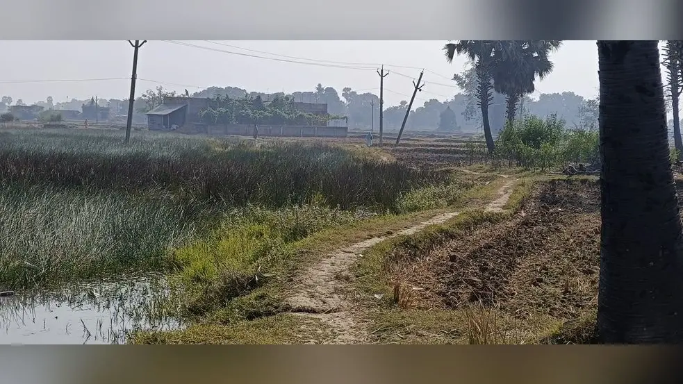 पक्की सड़क के लिए तरस रहे बसखोरिया के ग्रामीण