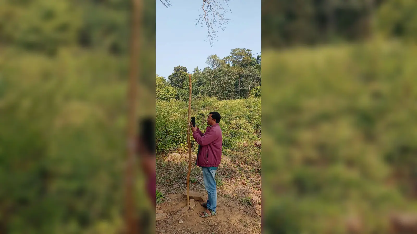 East Singhbhum : मिर्गीटांड़ गांव में नेटवर्क नहीं, स्कूल के पास खंभा गाड़कर मोबाइल टांगते हैं ग्रामीण