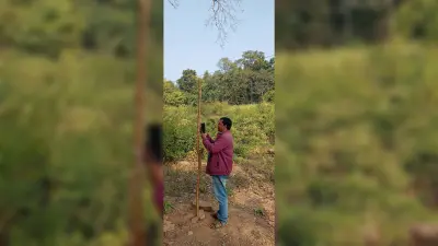 East Singhbhum : मिर्गीटांड़ गांव में नेटवर्क नहीं, स्कूल के पास खंभा गाड़कर मोबाइल टांगते हैं ग्रामीण