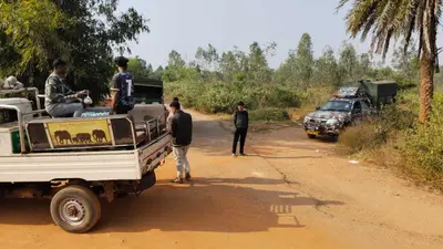 East Singhbhum : चाकुलिया हवाई पट्टी के पास टीम ने लगाया निशाना, 12 फीट लंबी छलांग लगाकर भागी बाघिन