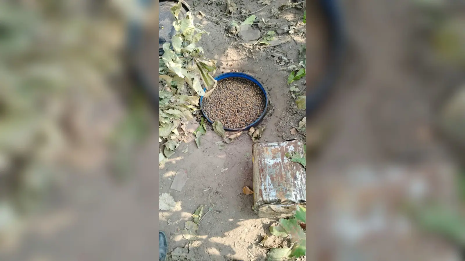 Nawada news : शराब की दो भट्ठियां ध्वस्त, तीन हजार लीटर जावा महुआ नष्ट