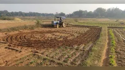 ट्रैक्टर से 52 एकड़ में लगी अफीम की फसल किया नष्ट