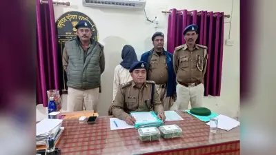 Aurangabad News : बादम से 178 हरा पौधा गांजा जब्त