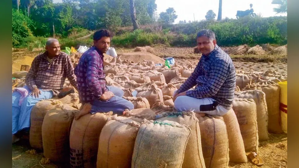 जिले में धान अधिप्राप्ति की गति सुस्त, लक्ष्य का चार प्रतिशत हुई है खरीद