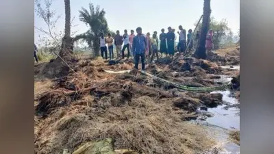 धान के पुंज में लगी आग, हजारों की संपत्ति जलकर राख