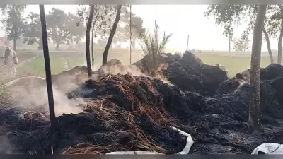 खलिहान में शॉर्ट सर्किट से लगी आग, 14 बीघे की फसल राख