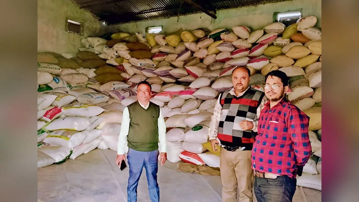 Gopalganj News : क्रय केंद्रों के पेच में उलझ गयी किसानों की तकदीर, बाजार में बेच रहे धान