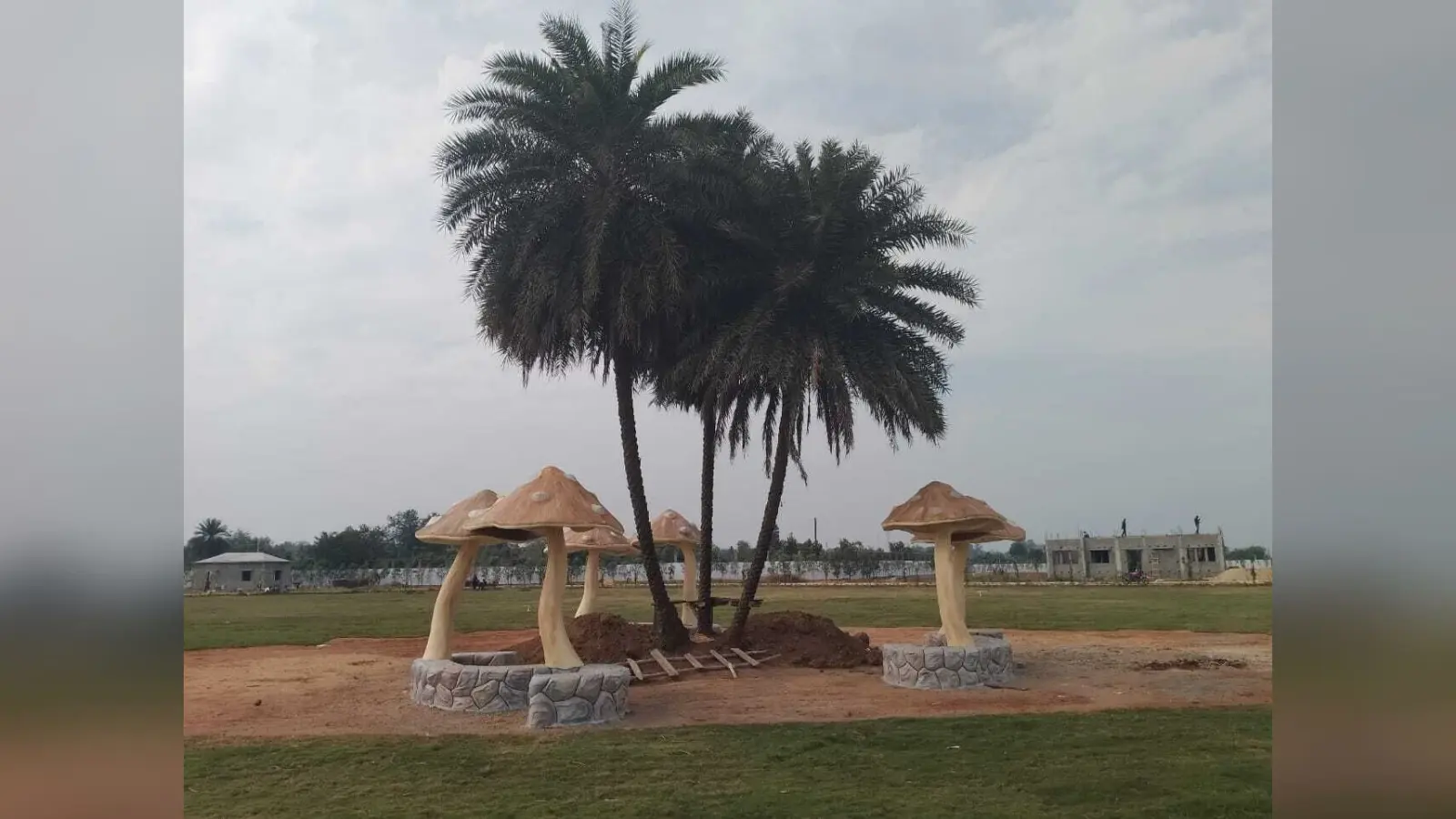 East Singhbhum News : चाकुलिया में उद्घाटन से पहले इकोलॉजिकल पार्क की खूबसूरती के मुरीद हुए लोग