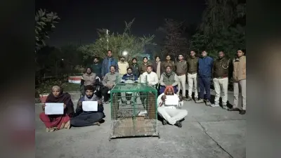 Darbhanga News : मनीगाछी में मगरमच्छ के आठ बच्चों के साथ तीन तस्कर गिरफ्तार