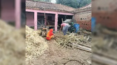 Darbhanga News : दूसरे राज्यों में मिठास परोसने वालों को आयातित गुड़ आसरा