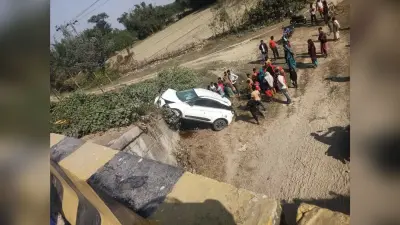 मवेशी को बचाने के क्रम में खाई में गिरी कार, चालक घायल