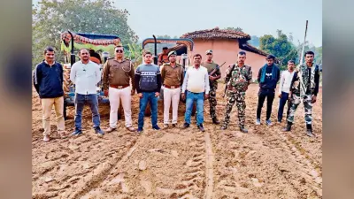 Gaya News : ड्राेन से 14 एकड़ में लगी अफीम की फसल चिह्नित, ट्रैक्टर से किया नष्ट