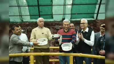 jamshedpur : टाटा जू में खुला बटरफ्लाइ हाउस, तितलियों की रंग बिरंगी दुनिया से रूबरू होंगे लोग