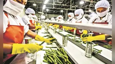 Industrial News : माइक्रो फूड इंडस्ट्री में एसटी-एससी उद्यमी छाये