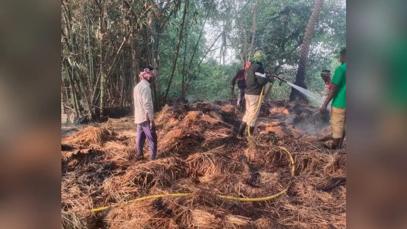 खलिहान में लगी आग, 15 क्विंटल से अधिक धान जला