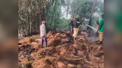 खलिहान में लगी आग, 15 क्विंटल से अधिक धान जला