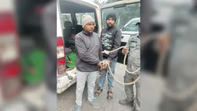 Lead News : दो साइबर ठग गिरफ्तार, दो बाइक व तीन मोबाइल जब्त