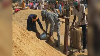 Deoghar news : अबतक 25 पैक्सों से साढ़े 10 हजार क्विंटल से अधिक हुई धान की खरीदारी