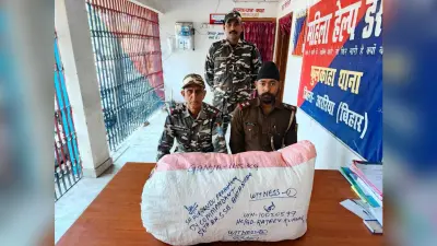 साढ़े 11 किलो गांजा जब्त, तस्कर फरार
