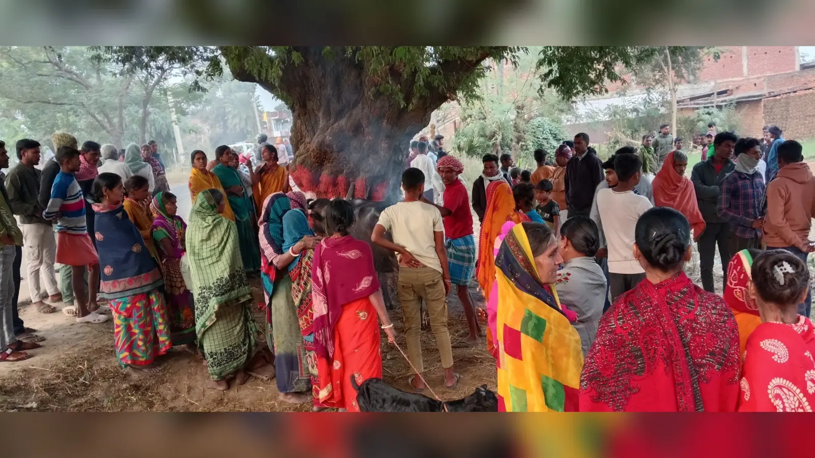 Gaya News : अनियंत्रित वाहन रोड किनारे पलटा, तीन मवेशियों की हुई मौत