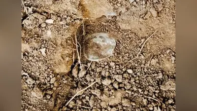 बांसडीह जंगल से सुरक्षा बलों ने प्रेशर आइइडी किया बरामद