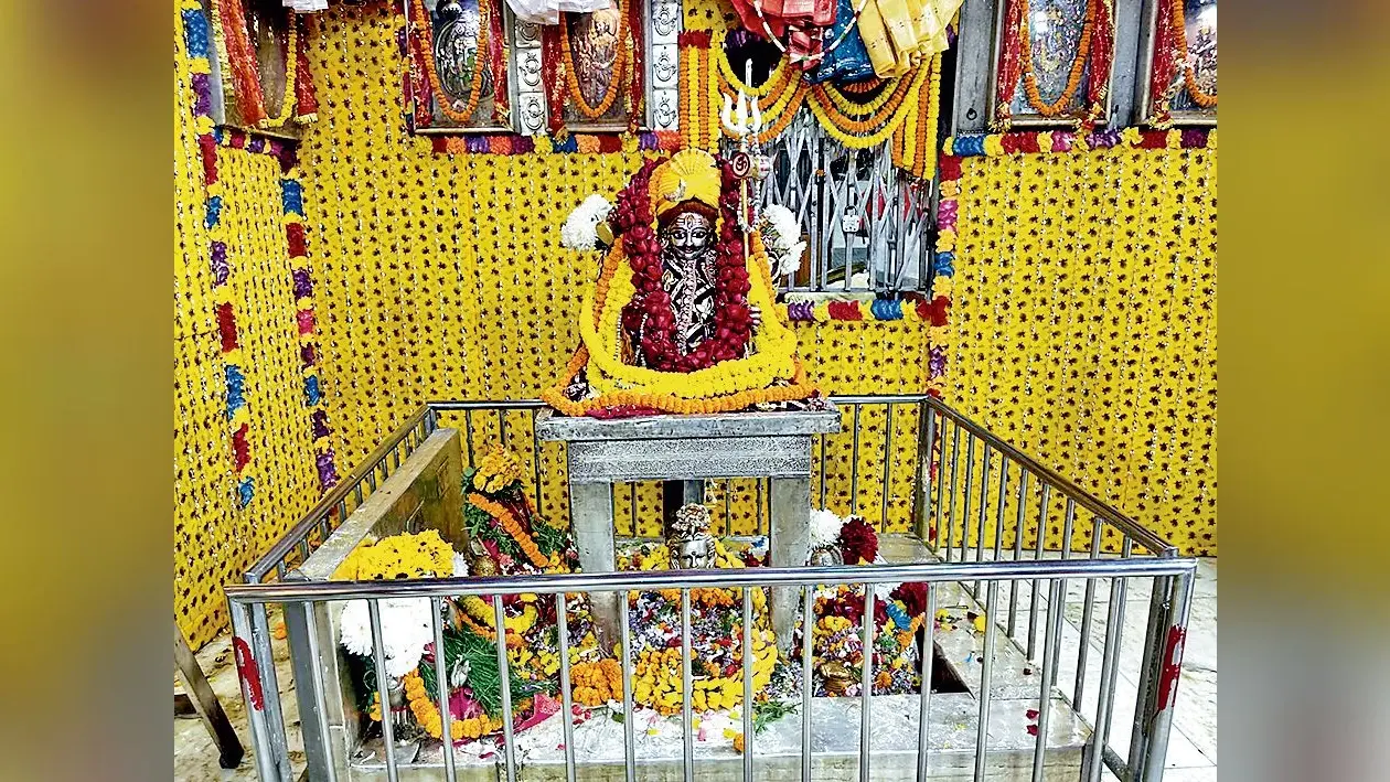 बाबा भूतनाथ धाम का वार्षिकोत्सव धूमधाम से संपन्न