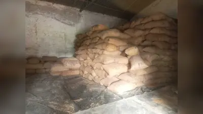 शब्दा पैक्स गोदाम से सौ बैग धान की चोरी, अज्ञात पर प्राथमिकी दर्ज