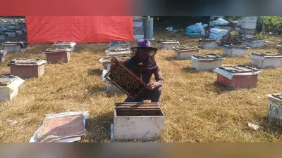 शहद उत्पादन कर अपने व परिवार का भविष्य संवार रहे सनोज