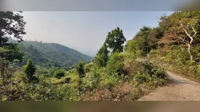 पहाड़ी व घाटियों के बीच ले रहे पिकनिक का आनंद