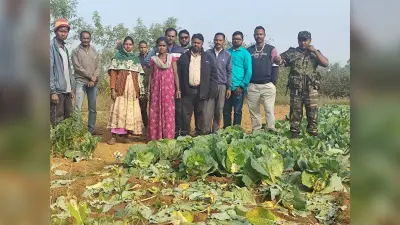 विधायक ने हाथी प्रभावित क्षेत्र में पटाखे बांटे