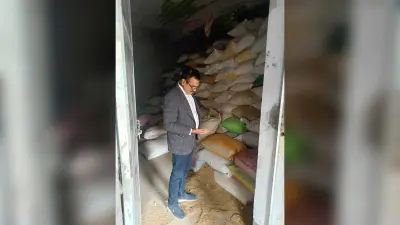 डीएसओ ने चार धान अधिप्राप्ति केंद्र का लिया जायजा