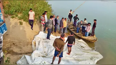 सोन नदी में छोड़ी गयीं एक लाख 19 हजार अंगुलिका मछलियां