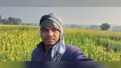Giridih News :सरसों की खेती कर आत्मनिर्भर बन रहे पलरा गांव के किसान