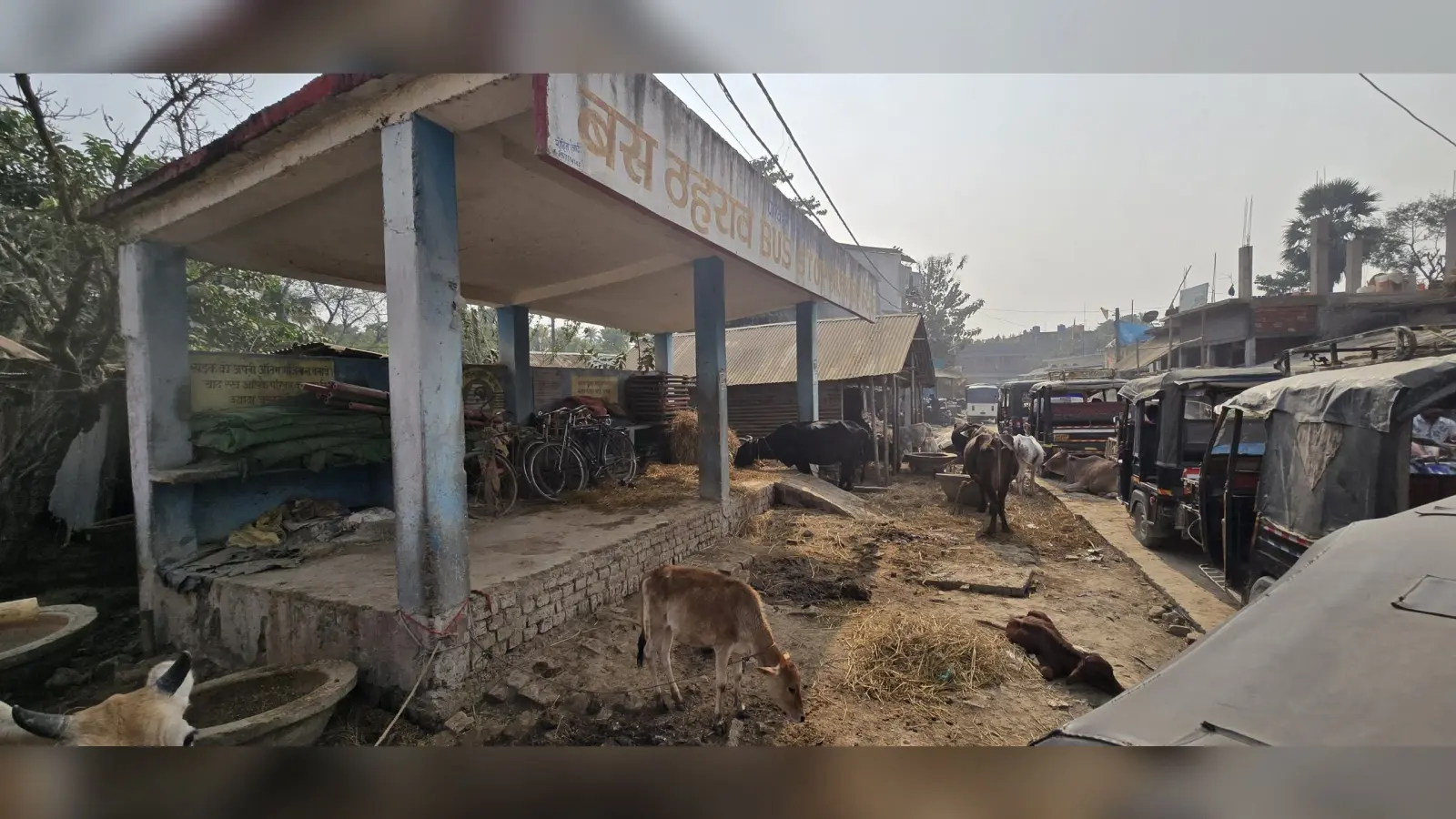 स्टैंड बना तबेला, अधिकारी देखकर भी बने हैं अनजान