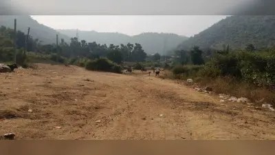 नये साल का जश्न मनाने के लिए जिले में 10 पिकनिक स्पॉट किये गये चिह्नित